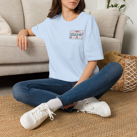 Stars & Stripes Unisex Softstyle T-Shirt